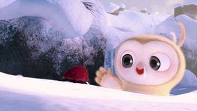 吃瓜搞笑视搞笑视频,吃瓜搞笑视频，带你领略欢乐瞬间