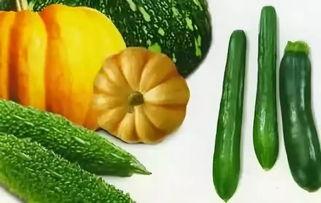 吃瓜视频苏六,吃瓜视频中的“瓜王”传奇  第2张