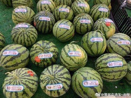 反吃瓜加盟,开启健康生活新潮流 第2张 反吃瓜加盟,开启健康生活新潮流 第2张