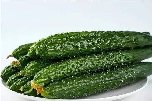 反吃瓜加盟,开启健康生活新潮流 第3张 反吃瓜加盟,开启健康生活新潮流 第3张