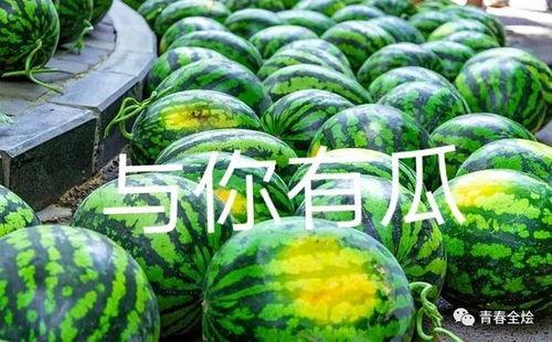 烟台学院吃瓜,吃瓜群众的味蕾盛宴