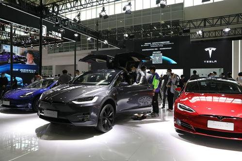 特斯拉闲着吃瓜,闲坐瓜田，静观行业风云变幻