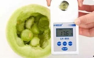 吃脆瓜,尽享脆瓜美味之旅