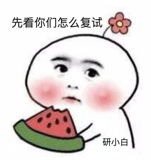 陌上吃瓜全文,揭秘娱乐圈背后的秘密与真相