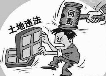 有偿吃瓜违法,违法背后的网络乱象