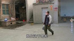 去岳父家吃瓜,一场欢乐的夏日家庭聚会