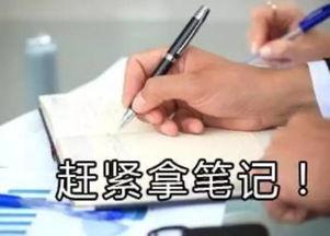 幼儿吃瓜比赛流程,幼儿吃瓜大赛趣味盎然