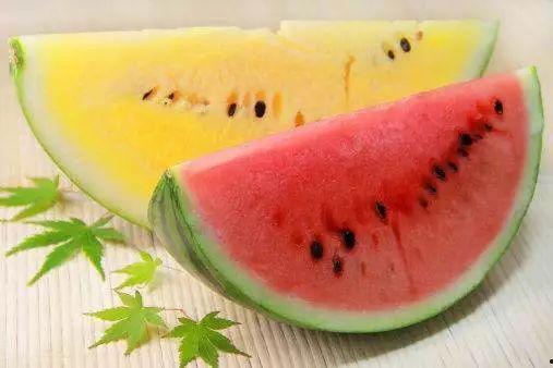 吃瓜吃到自己红,我的意外走红之旅