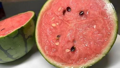 吃瓜吃到自己红,我的意外走红之旅