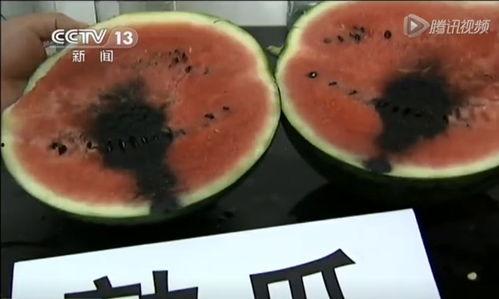 安心最新吃瓜视频,揭秘娱乐圈最新热点事件