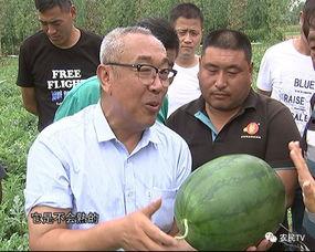 美国博士吃瓜事件,真相与反思