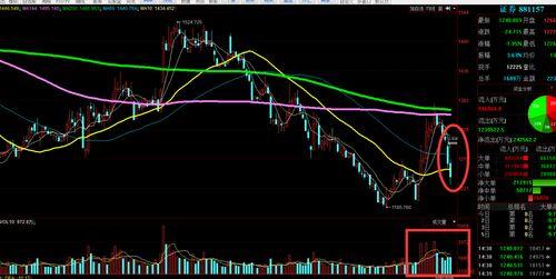 主力和散户吃瓜,揭秘股市博弈背后的真相