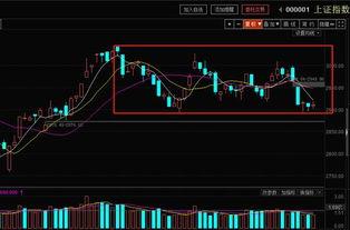 主力和散户吃瓜,揭秘股市博弈背后的真相