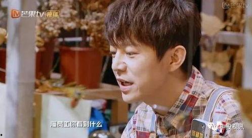 明星大侦探吃瓜,揭秘娱乐圈吃瓜背后的真相