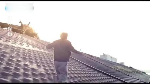 吃瓜群众围观水怪,揭秘神秘水怪之谜