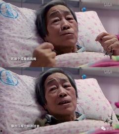 吃瓜老杨的老婆,揭秘背后故事