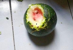 普普吃瓜,揭秘娱乐圈幕后故事