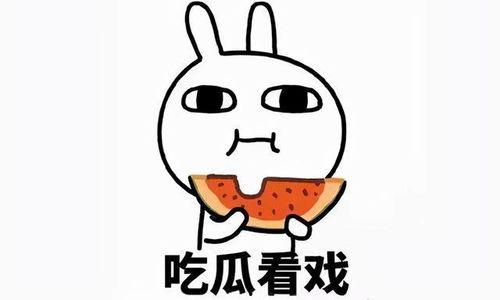 浪子断吃瓜,探寻人生新境界