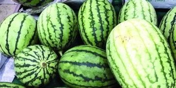 从吃瓜到种瓜,一场关于瓜果的奇妙旅程