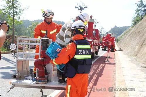 ucl吃瓜群,校园生活里的趣味与热议