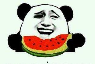 来了来了吃瓜,吃瓜群众围观“来了来了”大事件 第3张 来了来了吃瓜,吃瓜群众围观“来了来了”大事件 第3张