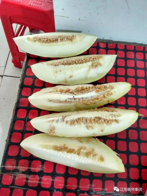 东营新区吃瓜,瓜果飘香，品味夏日田园风情