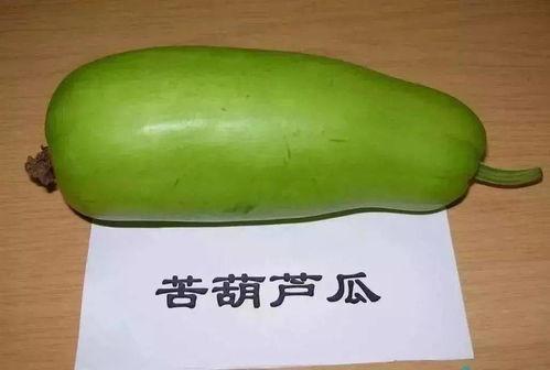 吃葫芦瓜的季节,葫芦瓜的季节盛宴