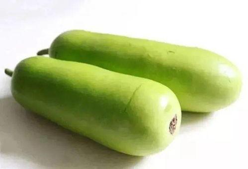 吃葫芦瓜的季节,葫芦瓜的季节盛宴