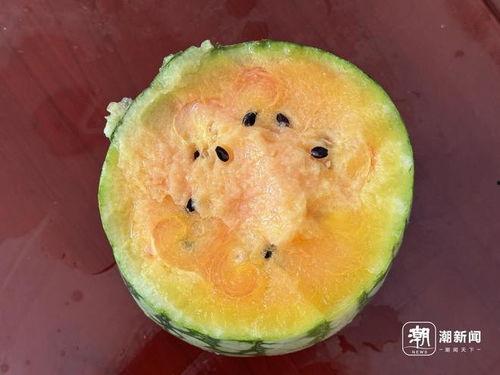 梦见吃瓜呕吐瓜瓤,吃瓜呕吐瓜瓤背后的寓意与启示