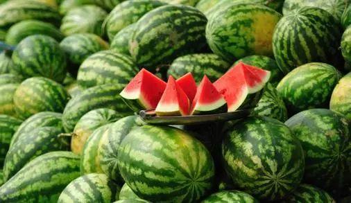 梦见吃瓜呕吐瓜瓤,吃瓜呕吐瓜瓤背后的寓意与启示