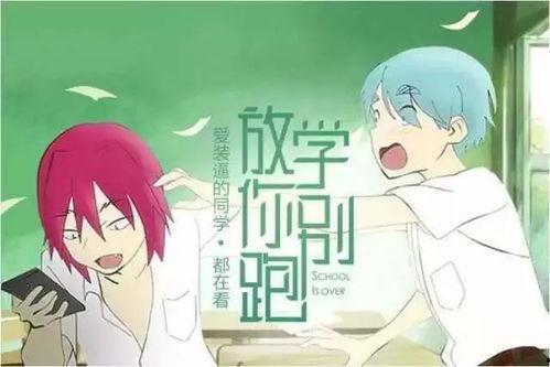 吃瓜博主讲述,吃瓜博主带你领略幕后真相