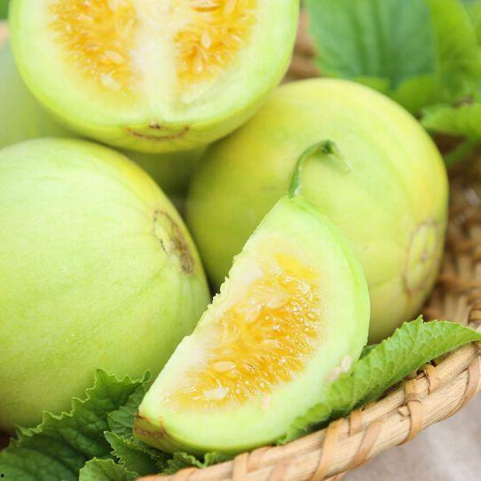 滕州蒋庄吃瓜,一场别开生面的“吃瓜”盛宴