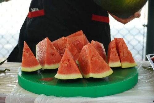 兰州职学院吃瓜,校园生活里的趣味瞬间