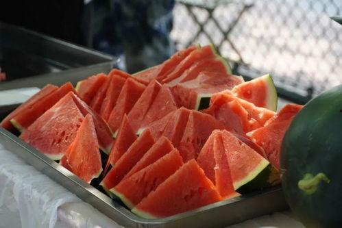 兰州职学院吃瓜,校园生活里的趣味瞬间