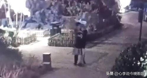 老球迷吃瓜视频,揭秘足球圈那些不为人知的幕后故事