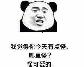 土味情话吃瓜,甜蜜与幽默交织的恋爱味道