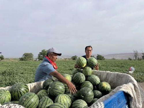 吃瓜琉球,一场味蕾与历史的邂逅