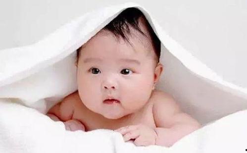 婴儿可以吃篮瓜吗