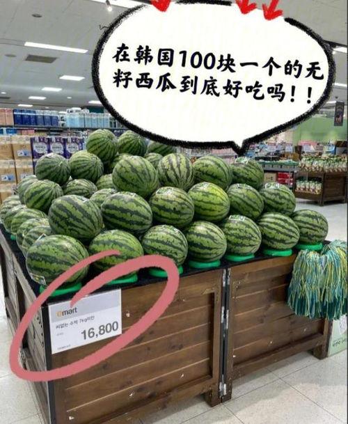 韩国博主吃瓜,幕后真相大曝光