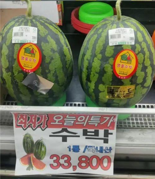 韩国博主吃瓜,幕后真相大曝光