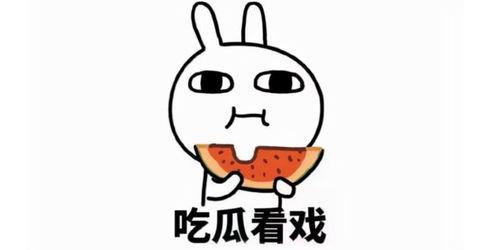 吃瓜盘点感人视频素材,感人视频素材盘点，温情瞬间触动人心