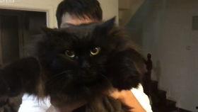 张博恒russell吃瓜