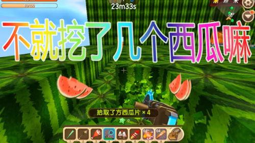 吃瓜大战图片,一场视觉盛宴的狂欢