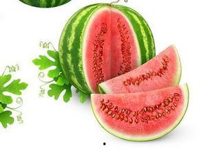 小玖玖吃瓜,揭秘娱乐圈幕后故事