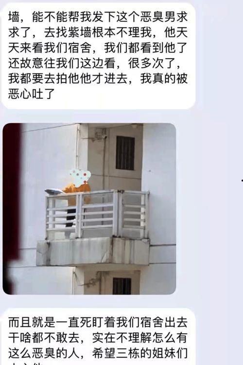 农大表白墙吃瓜,一场别开生面的“吃瓜”盛宴