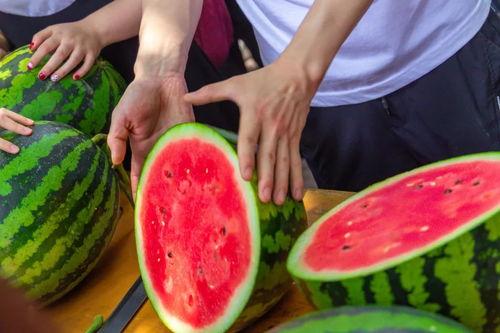 怎么在学校吃瓜,揭秘校园里的那些“秘密”美食