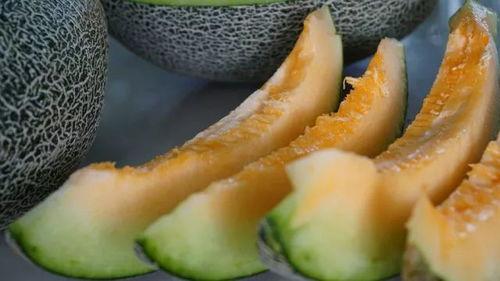 火山电梯带你吃瓜,带你穿越火山，品尝地心美味瓜果