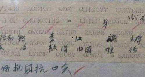 电报搜吃瓜,揭秘“搜吃瓜”背后的网络热点现象