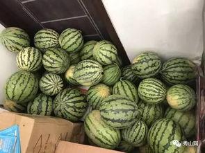 带你走进瓜地吃瓜视频,跟随视频带你体验夏日吃瓜乐趣