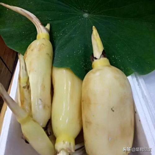 莱芜吃瓜骑行圈